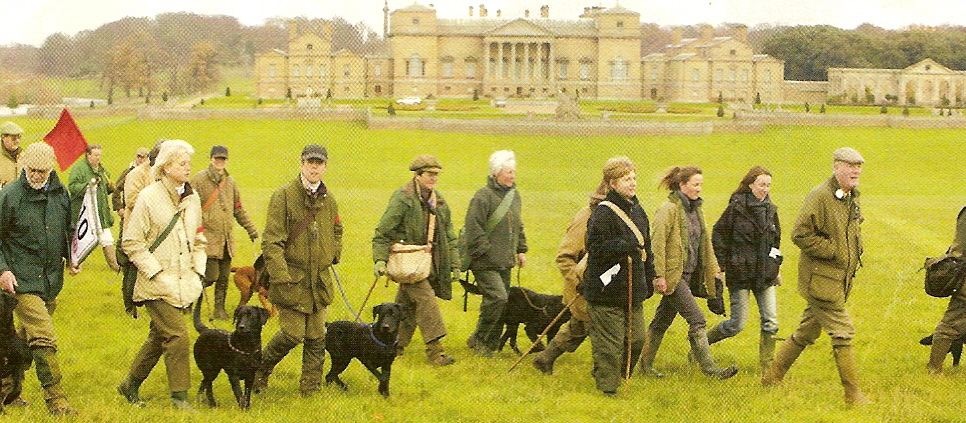 Retriever Championship at Holkham Hall (2nd Day)